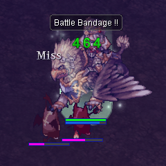 Gryphon Knight Combat